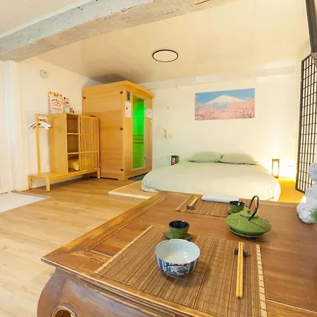 Prestigeloc - 3 Studios Au Choix - 2 Avec Sauna Prive Gratuit, 1 Avec 3 Couchages, Centre-Ville Orléans Exterior photo